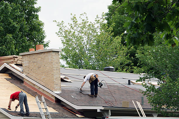 Best Roof Repair Specialists  in Mack, OH